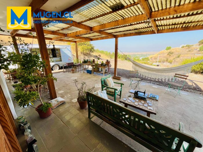 Terraza